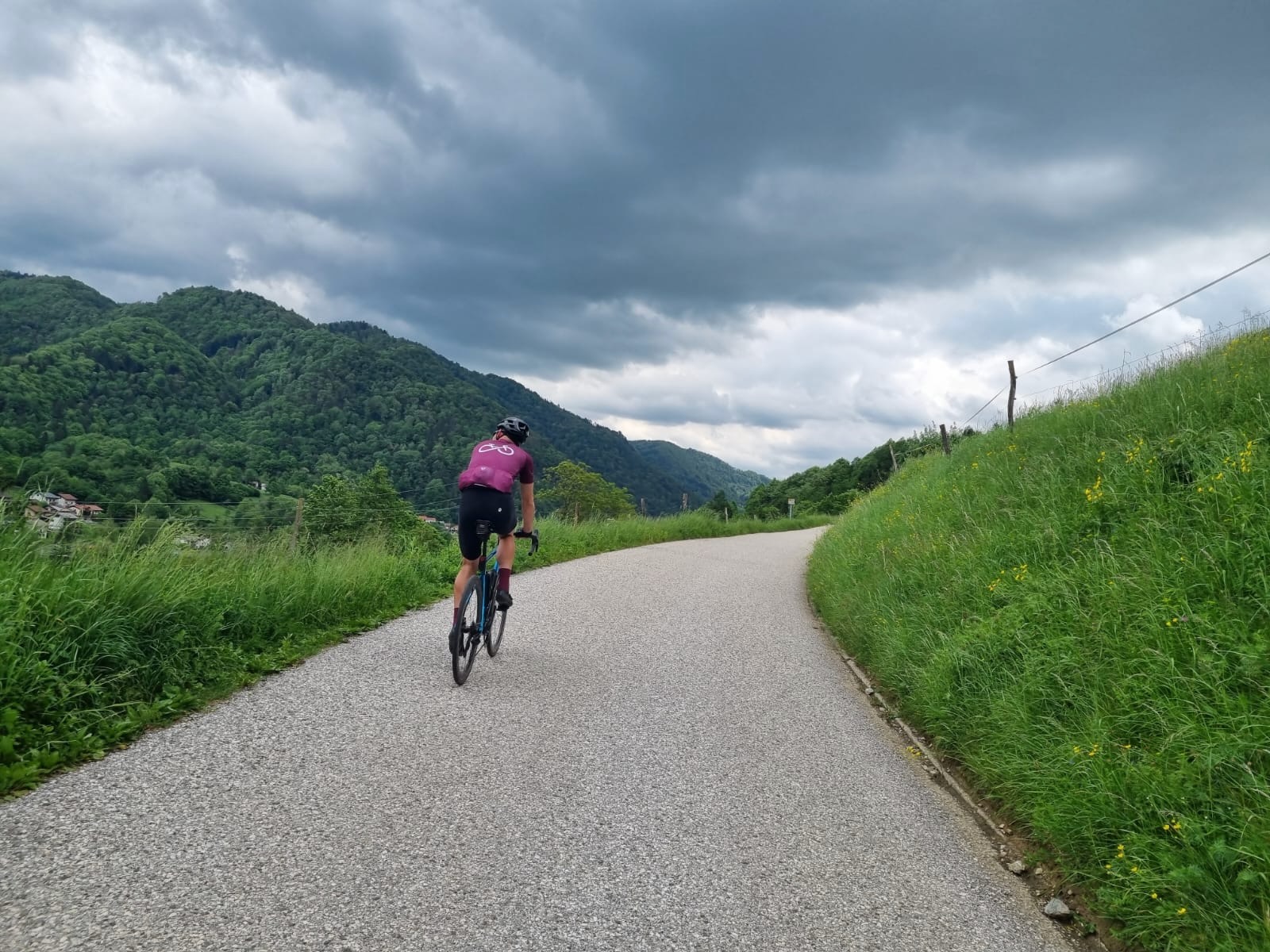 Optional Extension: Bike #3