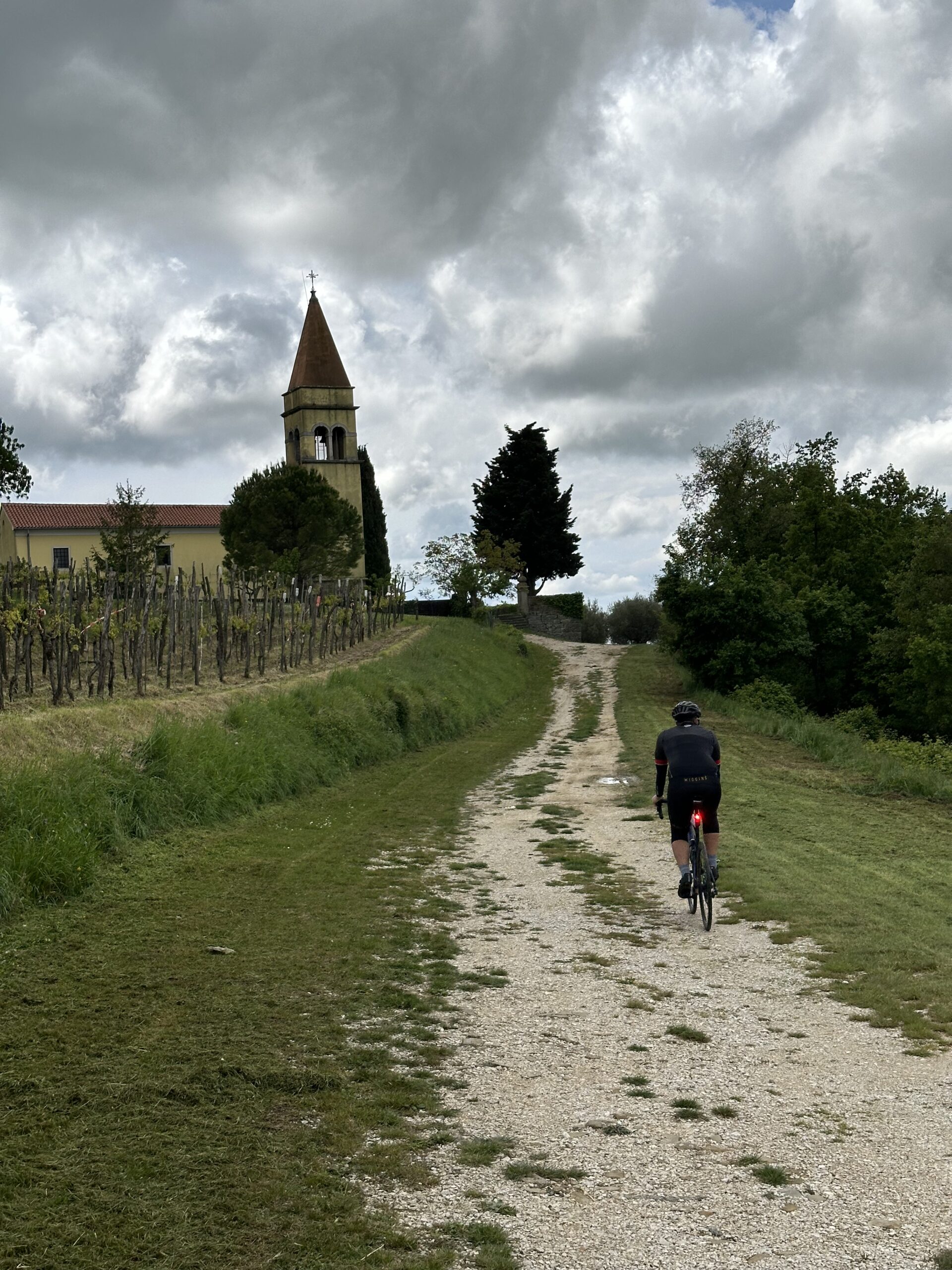Cyclists on a rural lane in Istria